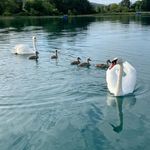 Profile Picture of Erich Striffler (@erichstriffler) on Instagram