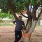 Profile Picture of Krishnarao Rudrangi (@krishnarao.rudrangi) on Facebook