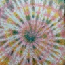 Profile Picture of Daniella Cadogan (@@daniellacad) on Tiktok
