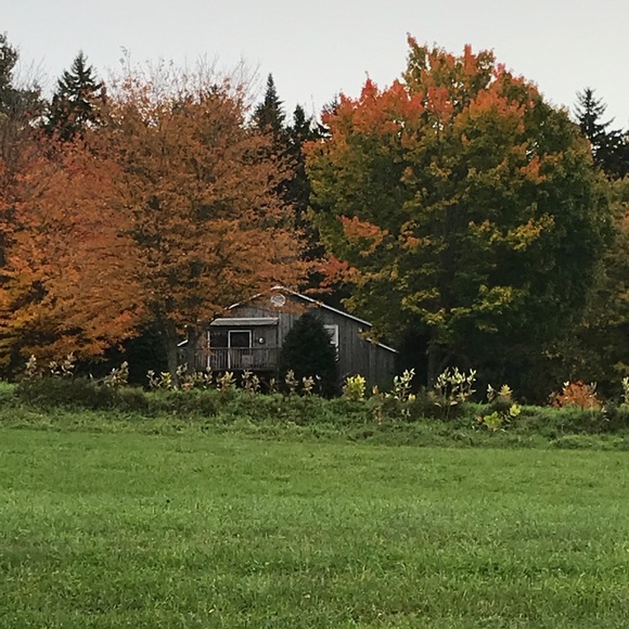 Autumn Duguay - Poshmark Profile Picture of Autumn Duguay (@fallfeels) on Poshmark