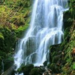 Profile Picture of Bobbie Morrow (@treasure2morrow13) on Instagram