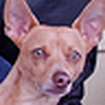 Profile Picture of Pam and John Doyle (@Washougal Doyle) on Flickr