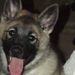 Profile Picture of Jim Eilers (@jeilers2320) on Pinterest