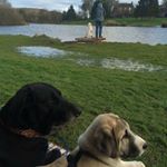 Profile Picture of Nathan Hutchison (@samdantumfly) on Instagram