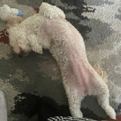 Profile Picture of Sonny Williams (@sonnywilliams7607) on Youtube