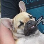 Profile Picture of Tamara Harmsen (@elbe73tamara) on Instagram