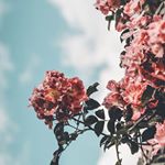 Profile Picture of ilana kodama (@meumundo_kolorido) on Instagram