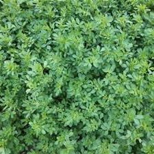 Profile Picture of Josh Mason (@JCMason3) on Twitter