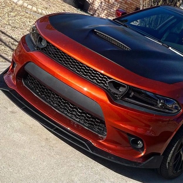 Profile Picture of Jose lasalde (@jlasalde54) on Tiktok