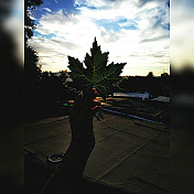 Profile Picture of Kim Face (@kimface9027) on Youtube