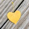 Profile Picture of kim.of.hearts (@kim.of.hearts) on Tiktok