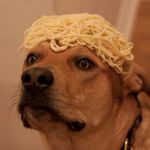 Profile Picture of Jamie Coltart (@jamiecoltart) on Instagram