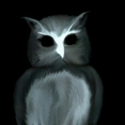 Profile Picture of Douglas Broadbent (@Owl_in_the_Dark) on Twitter