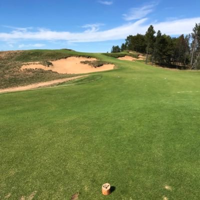 Profile Picture of Alex Allinger (@allingad17) on Twitter