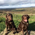 Profile Picture of janet.kilburn (@janet.kilburn) on Instagram