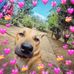 Profile Picture of Chi Chow (@Chi-Chow) on Facebook