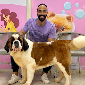 Ahmed Bakkar - Youtube Profile Picture of Ahmed Bakkar (@ahmedbakkarrr) on Youtube