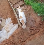 Profile Picture of Cristian Mitchell (@Cristian-Mitchell) on Facebook