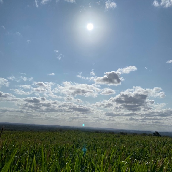 Profile Picture of Colin Salkovitz (@colinbrian94) on Poshmark