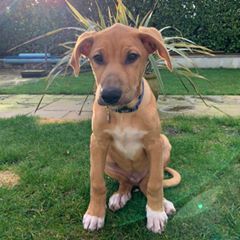 Profile Picture of Jane Cuff (@jane_cuff) on Tiktok