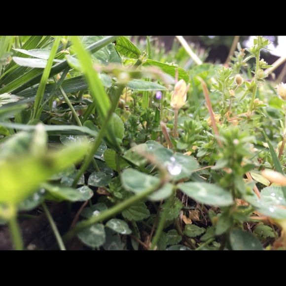 Profile Picture of Chloe Kim (@chloedie) on Poshmark