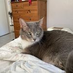 Profile Picture of Cheryl Reinert (@reinert.cheryl) on Instagram
