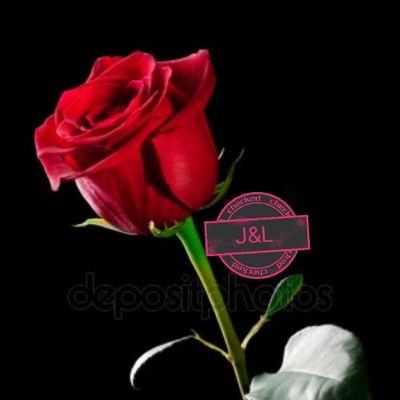 Profile Picture of Luz Falcon (@Lucy_Falcon_) on Twitter