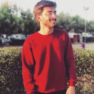 Profile Picture of SYED HAMZA (@hamzaabbas1_) on Twitter