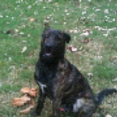 Profile Picture of Mike Kreitz (@KreitzMike) on Twitter