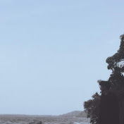 Profile Picture of Cai Chen (chai) (@caichen9597) on Youtube