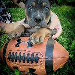 Profile Picture of Dylan Coulombe (@dylan.coulombe.54) on Instagram