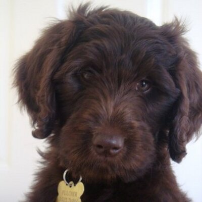 Profile Picture of John Fulcher (@Nzlcr9) on Twitter