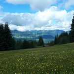 Profile Picture of Julia Rusch (@ruschi_bb) on Instagram