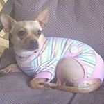 Profile Picture of Shirley Stringer (@shirleystringer) on Instagram