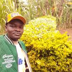 Profile Picture of James Munene (@James-Munene) on Facebook