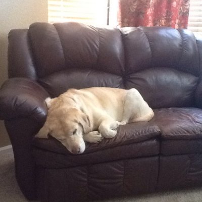 Profile Picture of Eric Womack (@Whomper37) on Twitter