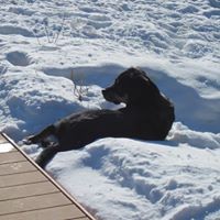 Ginette Goulet - Quora Profile Picture of Ginette Goulet (@ginette-goulet) on Quora