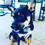 Profile Picture of Jacob Pollard (@jacob_pollard_09) on Instagram