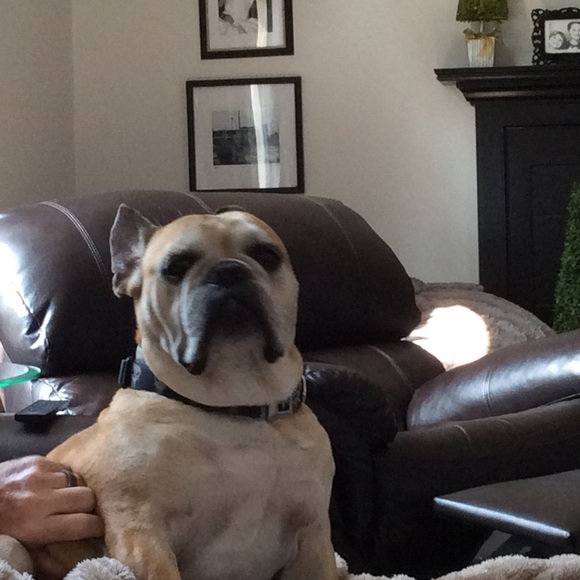 Profile Picture of Kristie Hugus (@khugus19) on Poshmark