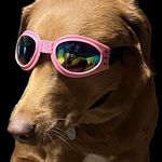 Profile Picture of b a i l s (@bailey.chapin) on Instagram