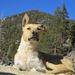 Profile Picture of David Chamberlain (@vidourle) on Pinterest