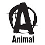 Profile Picture of Animal (@@UniversalNutrition) on Tiktok