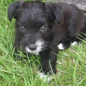 Profile Picture of Patrick Marchand (@patrickmarchand7021) on Youtube