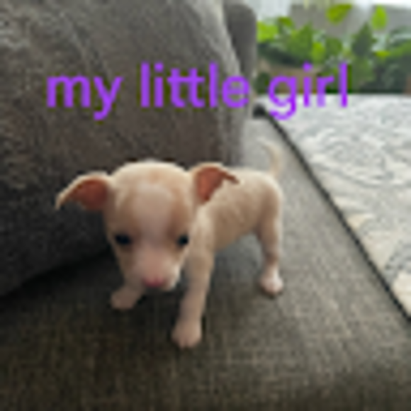 Profile Picture of Cyrstal Lheureux (@cyrstall) on Poshmark