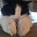 Profile Picture of Scott Close (@scott.close.94402) on Facebook