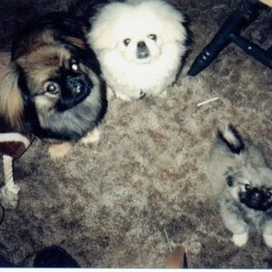 Profile Picture of Cindy Valentine (@beaconbabe1) on Myspace