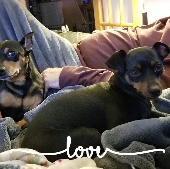 Profile Picture of Joleen Schnedler (@joleenschned) on Poshmark