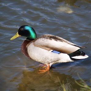 Kyle Storey - Twitter Profile Picture of Kyle Storey (@kyle62902971) on Twitter