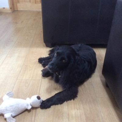 Profile Picture of Brian Alton (@AltonBrian) on Twitter