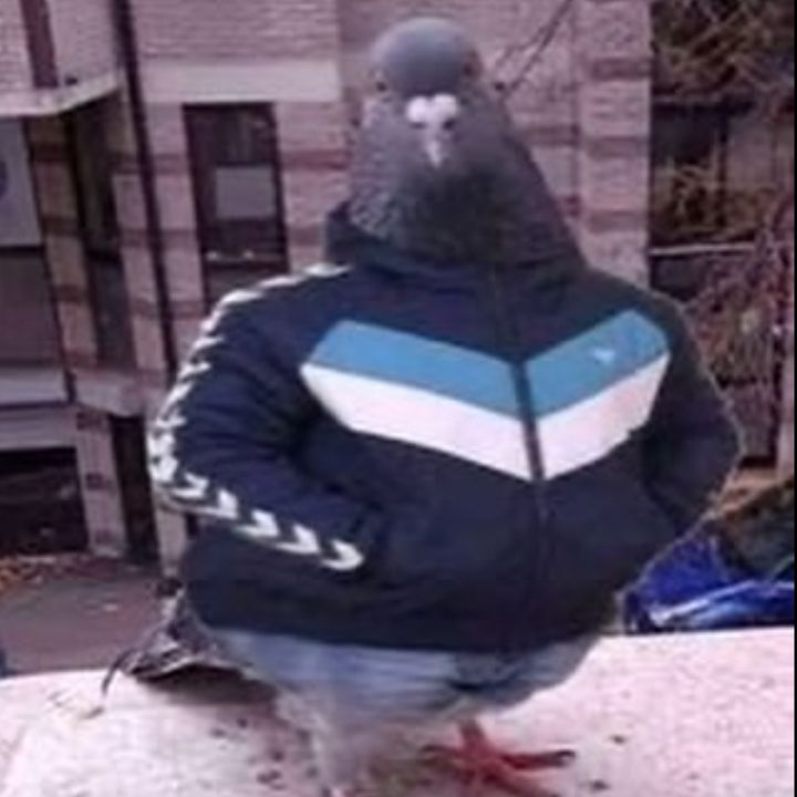 Profile Picture of Daroy (@daroyyyy) on Tiktok